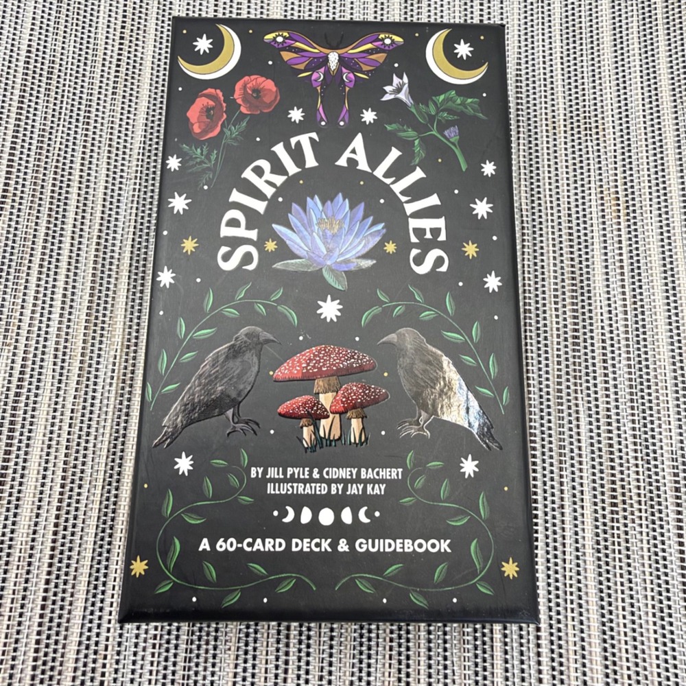 Spirit Allies Oracle Deck Guidebook Jill Pyle Cidney Bachert 60 Card Set 2022